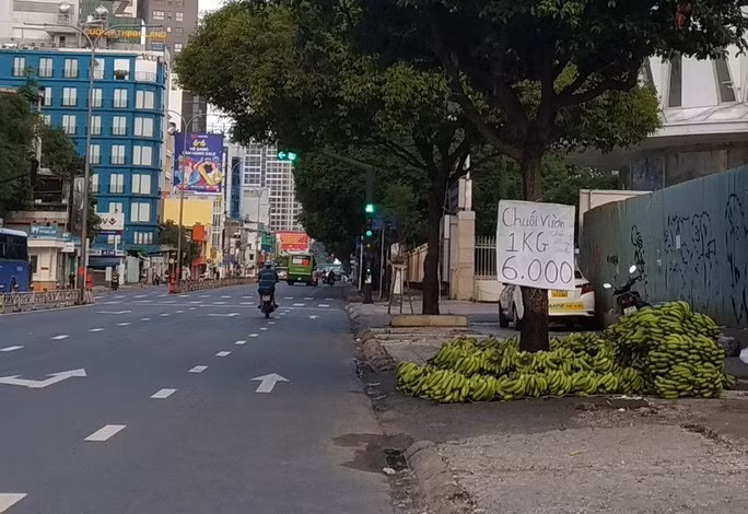 Chuối già Nam Mỹ bán giá rẻ tại TP HCM cuối tháng 5-2021