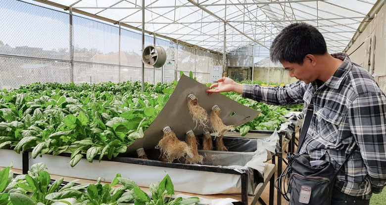 Ngoài thưởng thức và trải nghiệm, du khách còn có thể tìm hiểu các mô hình canh nông… (Ảnh chụp trước ngày 27/4) Ngoài thưởng thức và trải nghiệm, du khách còn có thể tìm hiểu các mô hình canh nông… (Ảnh chụp trước ngày 27/4)