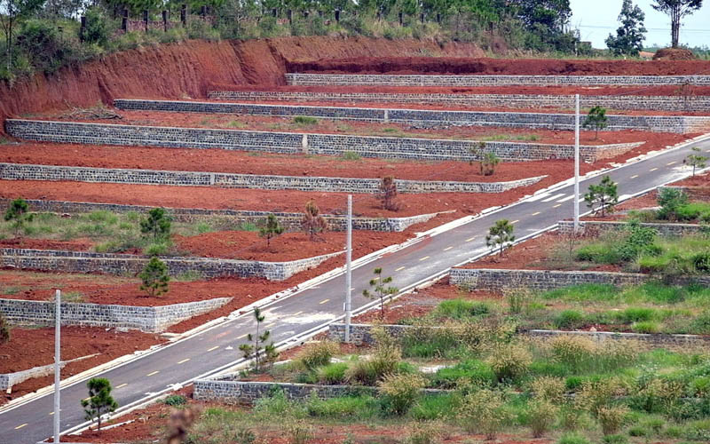Một quả đồi tại TP Bảo Lộc đã phân lô, tách thửa.
