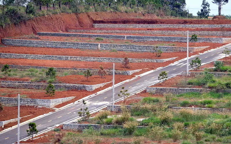 Một quả đồi tại TP Bảo Lộc đã phân lô, tách thửa.