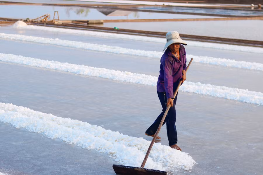 Nghề làm muối giúp người dân Ba Tri có thêm thu nhập-Ảnh: Duy Tường