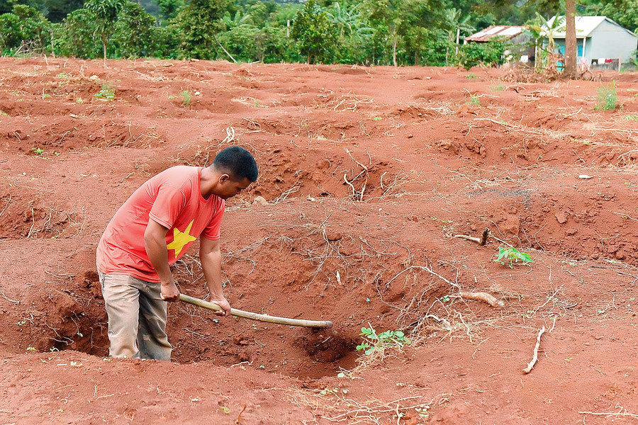 Người dân xã Ia Tiêm, huyên Chư Sê chuẩn bị đất chờ thời tiết thuận lợi sẽ xuống giống cà phê.