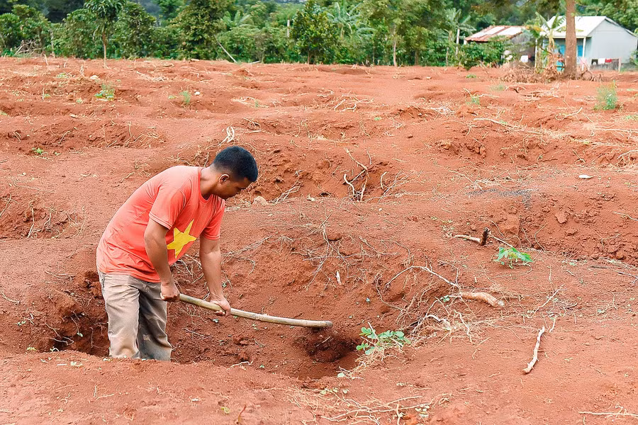 Người dân xã Ia Tiêm, huyên Chư Sê chuẩn bị đất chờ thời tiết thuận lợi sẽ xuống giống cà phê.