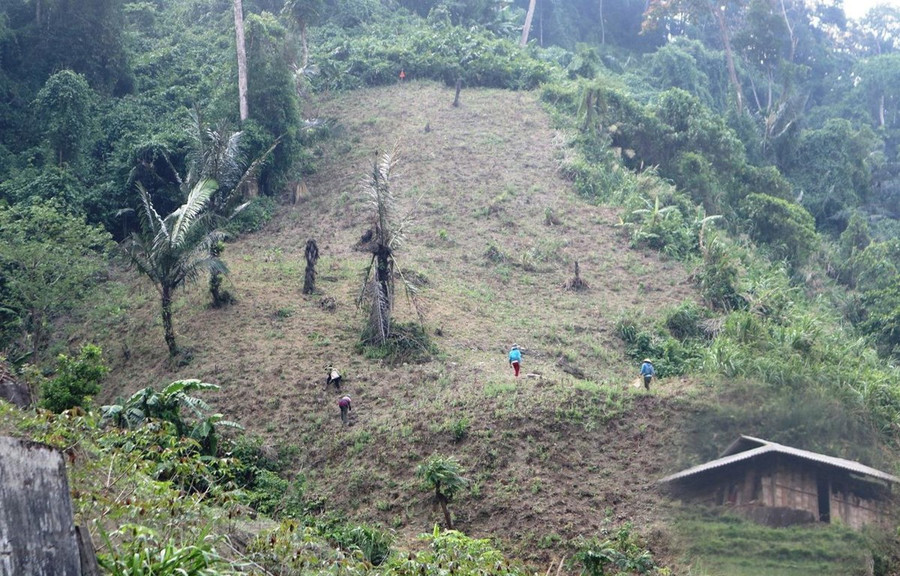 Ảnh chỉ có tính chất minh họa. (Nguồn ảnh: Hùng Võ/Vietnam+) Ảnh chỉ có tính chất minh họa. (Nguồn ảnh: Hùng Võ/Vietnam+)