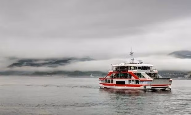 Ảnh minh họa. (Nguồn: india07.in)