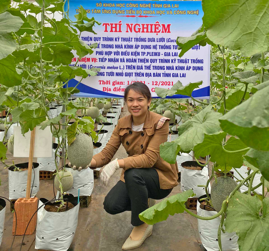 Thạc sĩ Trần Thị Hoàng Nguyên bên vườn dưa lưới thực nghiệm. Ảnh: T.B.Đ