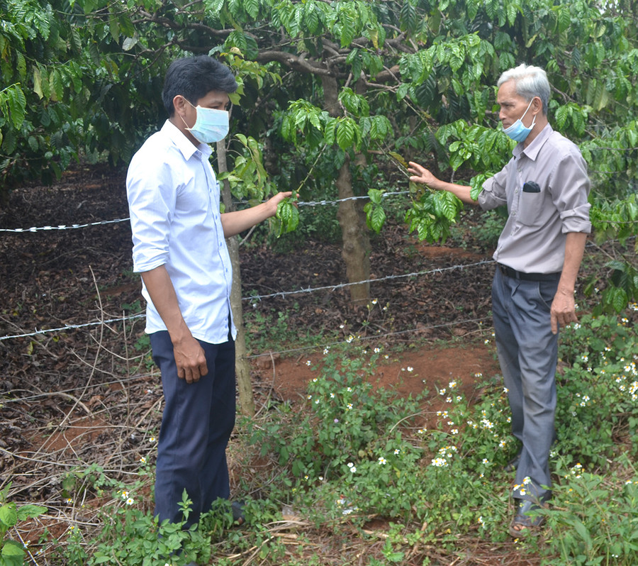  Người cao tuổi làng Ia Ring (xã Ia Tiêm, huyện Chư Sê) trao đổi kinh nghiệm sản xuất. Ảnh: Hoàng Minh