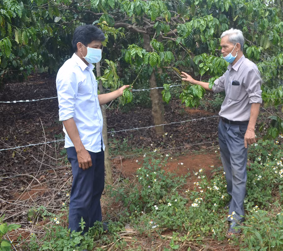  Người cao tuổi làng Ia Ring (xã Ia Tiêm, huyện Chư Sê) trao đổi kinh nghiệm sản xuất. Ảnh: Hoàng Minh