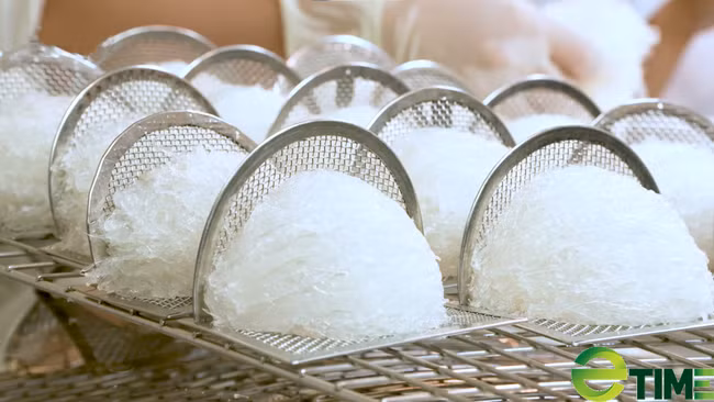 Những tổ yến được sấy khô trước khi đóng gói bán ra thị trường (Ảnh An Nhiên).