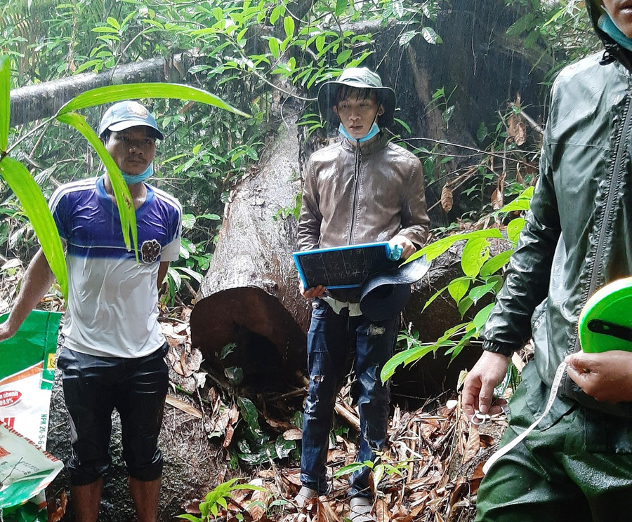 Dựng lại hiện trường vụ phá rừng. ẢNH: LÂM VIÊN