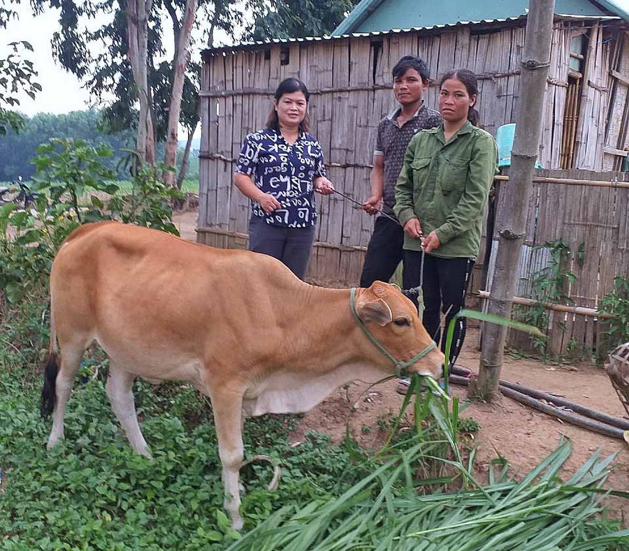 Hội LHPN huyện Đak Pơ trao bò sinh sản làm phương tiện sinh kế cho hội viên phụ nữ có hoàn cảnh khó khăn. Ảnh: Minh Châu