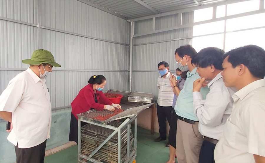 Hiện nay, hệ thống chế biến thịt bò một nắng đã đi vào sản xuất thử nghiệm tại 2 cơ sở ở huyện Krông Pa. Ảnh: Trần Dung Hiện nay, hệ thống chế biến thịt bò một nắng đã đi vào sản xuất thử nghiệm tại 2 cơ sở ở huyện Krông Pa. Ảnh: Trần Dung