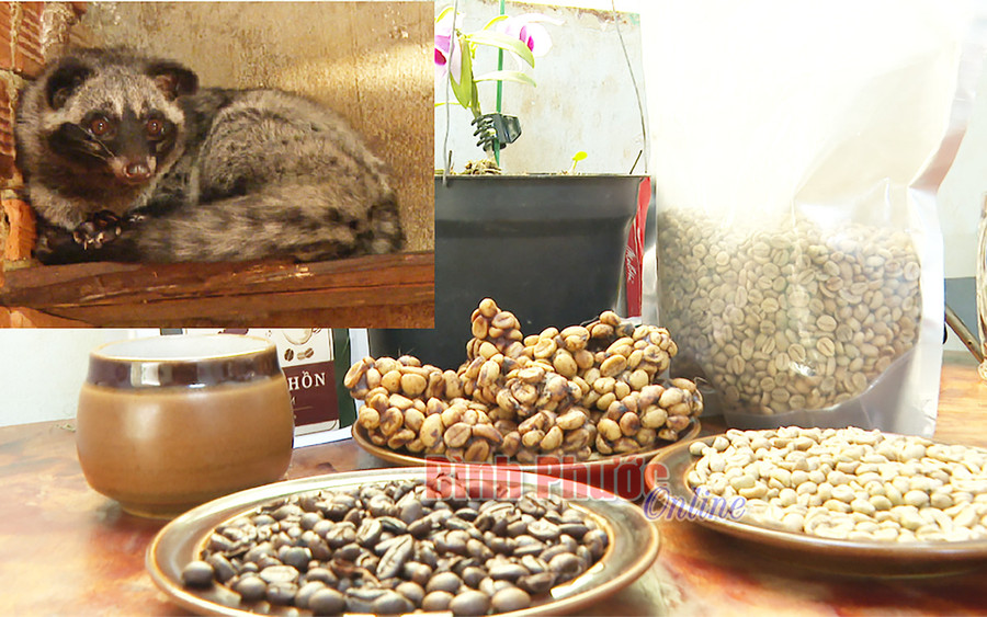 Ước mơ lớn nhất của anh Cừ là xây dựng thương hiệu cà phê riêng cho mình...