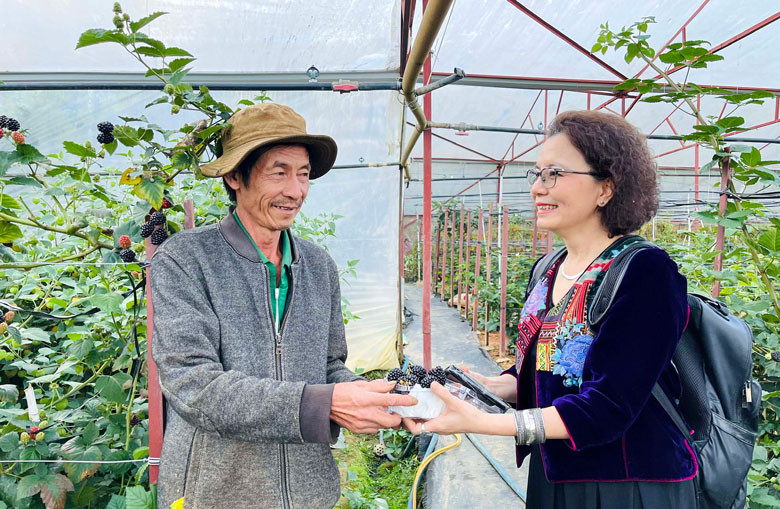 …Vườn phúc bồn tử của ông hàng xóm Nguyễn Nam có nhiều điều thú vị… (Ảnh chụp trước ngày 27/4) …Vườn phúc bồn tử của ông hàng xóm Nguyễn Nam có nhiều điều thú vị… (Ảnh chụp trước ngày 27/4)