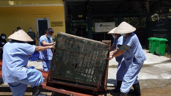  Đưa gấu ra khỏi khu vực nuôi của Rạp xiếc Trung ương