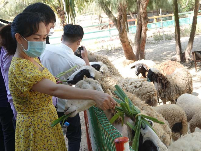 Ngành du lịch Bình Định yêu cầu thực hiện nghiêm quy định phòng chống dịch Covid-19 khi tham quan. ẢNH: HOÀNG TRỌNG