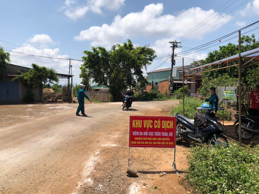 Huyện Đak Đoa thành lập các chốt kiểm soát tại khu vực có dịch bệnh VDNC trên địa bàn huyện. Ảnh Lê Nam Huyện Đak Đoa thành lập các chốt tại khu vực có dịch bệnh VDNC trên địa bàn huyện. Ảnh Lê Nam