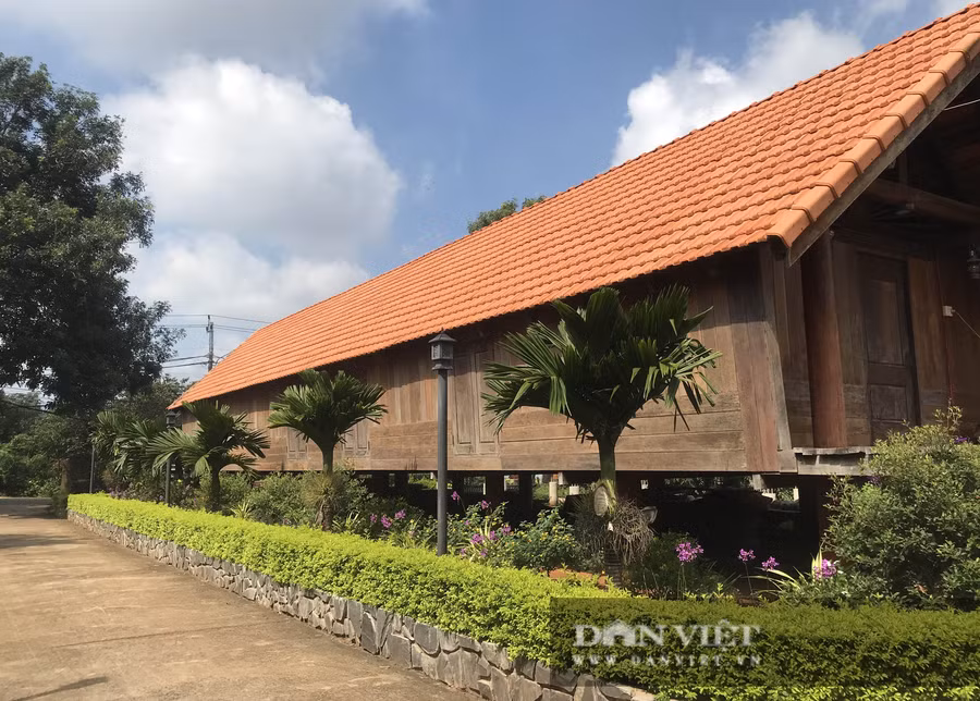 Ngôi nhà sàn của già làng Ama H'Rin. Ảnh: Duy Hậu.