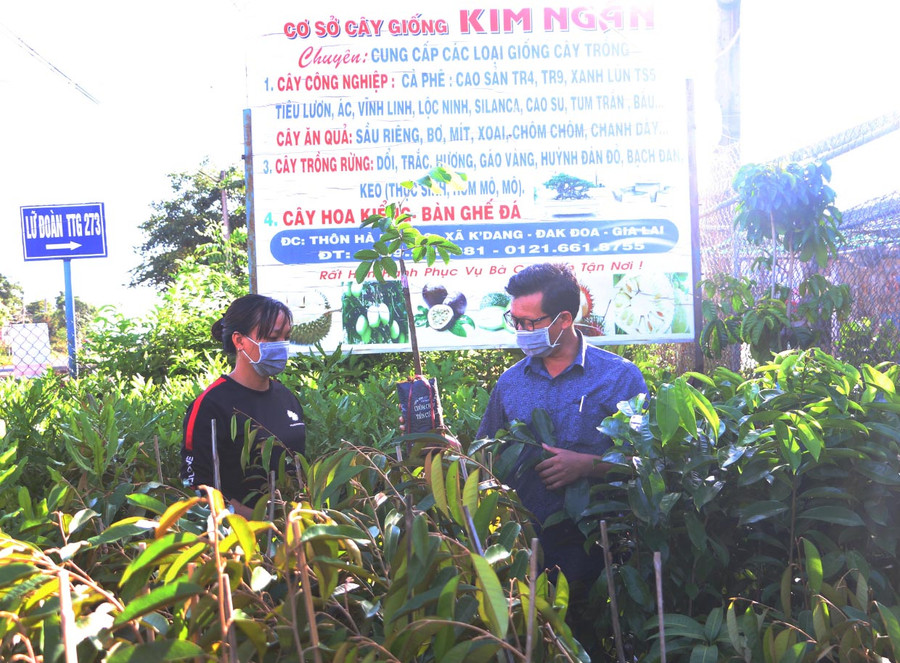  Ngành chức năng huyện Đak Đoa kiểm tra một cơ sở kinh doanh giống cây trồng. Ảnh: Quang Tấn