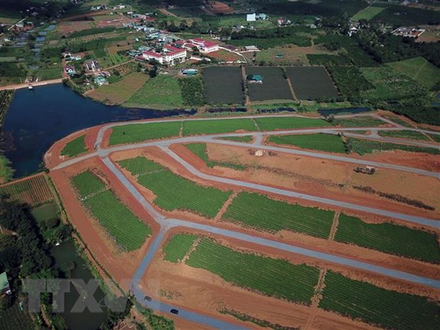 Một đồi chè ở xã ĐamB’ri (thành phố Bảo Lộc) đang trong giai đoạn hình thành. (Ảnh: TTXVN phát)