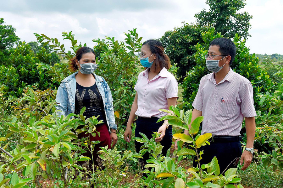9.Cán bộ Phòng Giao dịch Ngân hàng CSXH huyện Chư Pưh chia sẻ kinh nghiệm sử dụng vốn vay có hiệu quả với người dân trên địa bàn. 