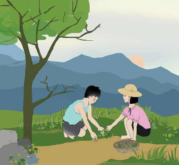 Minh họa: Thủy Ngọc