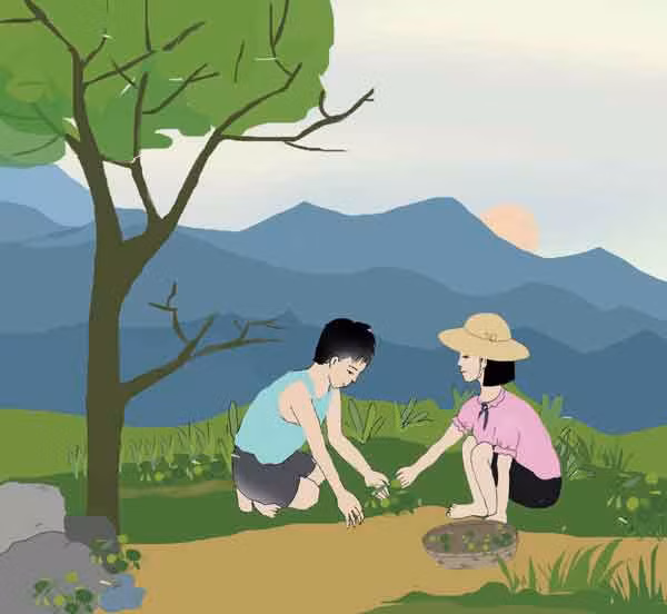 Minh họa: Thủy Ngọc