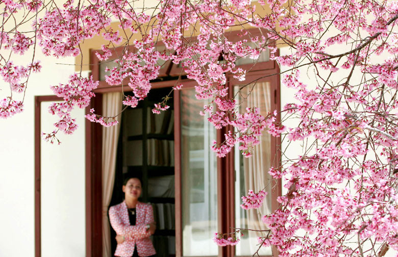 Bên khung cửa Bên khung cửa