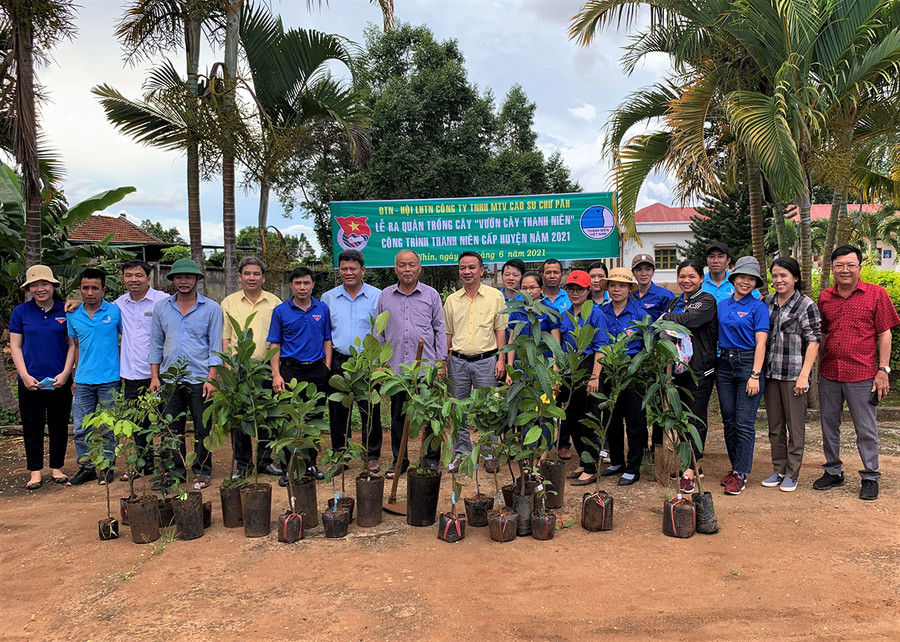 Công ty Cao su Chư Păh ra quân trồng 320 cây ăn quả các loại tại "Vườn cây thanh niên". Ảnh: Hà Đức Thành Lãnh đạo Đảng ủy, Ban Tổng Giám đốc và đoàn viên thanh niên Công ty ra quân trồng 320 cây tại Vườn cây thanh niên. Ảnh: Hà Đức Thành