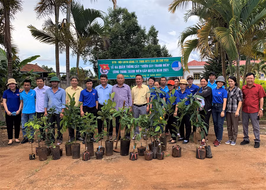  Lãnh đạo Đảng ủy, Ban Tổng Giám đốc và đoàn viên thanh niên Công ty ra quân trồng 320 cây tại Vườn cây thanh niên. Ảnh: Hà Đức Thành