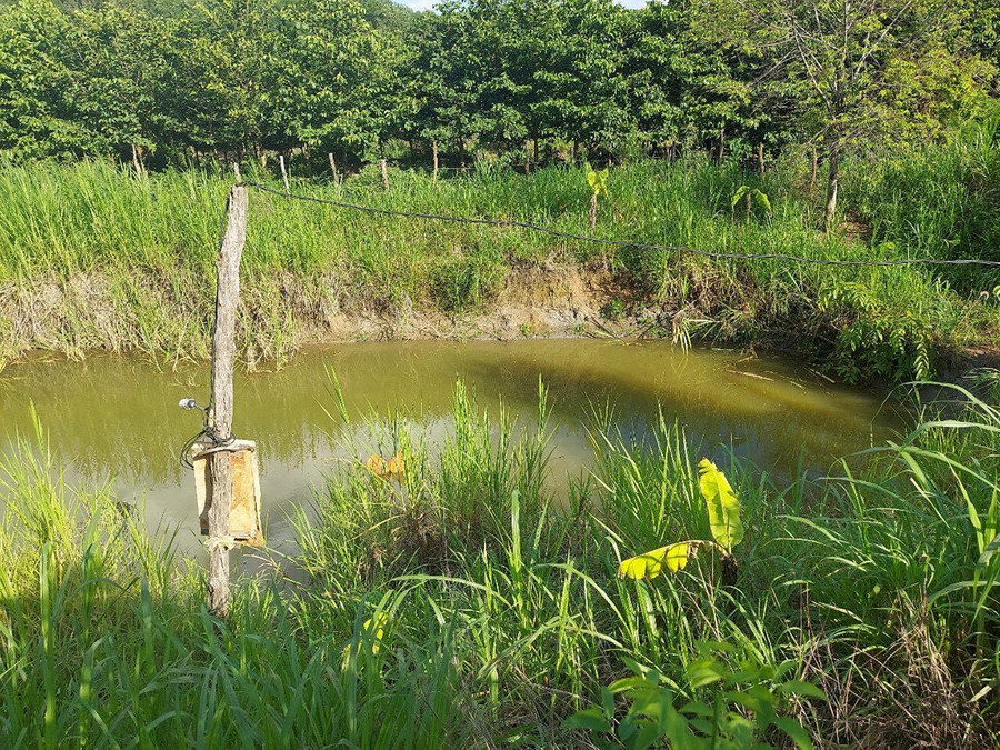 Hiện trường vụ tai nạn. Ảnh: Văn Ngọc