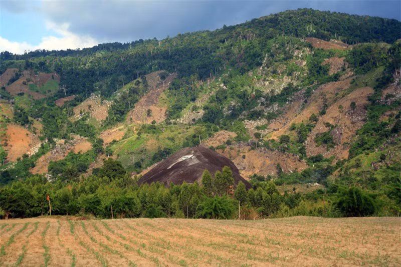Cho đến ngày nay trên mình hòn đá vẫn còn nhiều dấu tích được cho là dấu chân của con người và con vật từ xưa để lại. Ảnh: Kiến Thức.