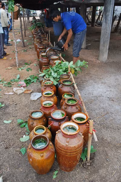 Hàng trăm ghè rượu đã được chuẩn bị cho buổi lễ của đồng bào dân tộc thiểu số ở Gia Lai. Ảnh: Hoàng Ngọc