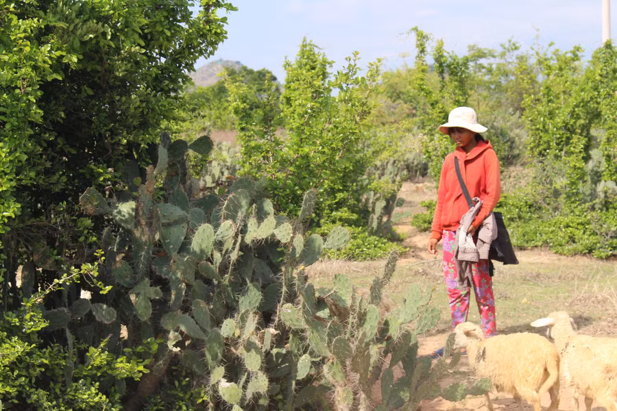 Cuộc đời cô bé này như cây xương rồng trên cát