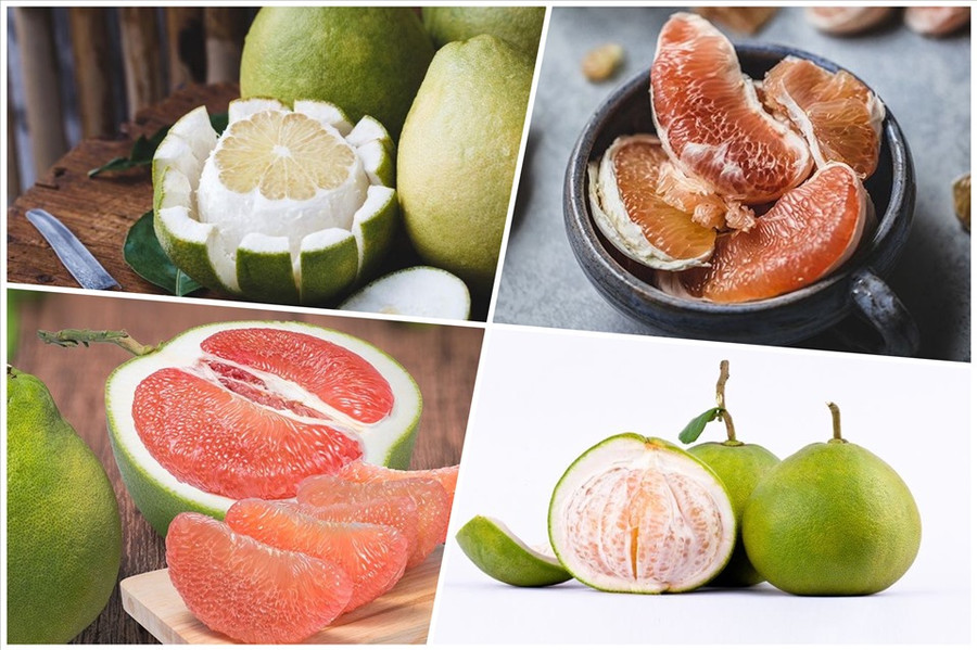 Bưởi là một loại thực phẩm chứa nhiều vitamin C, một loại vitamin tan trong nước quan trọng đóng vai trò quan trọng đối với hệ thống miễn dịch. Đồ hoạ: Minh Thư Bưởi là một loại thực phẩm chứa nhiều vitamin C, một loại vitamin tan trong nước quan trọng đóng vai trò quan trọng đối với hệ thống miễn dịch. Đồ hoạ: Minh Thư