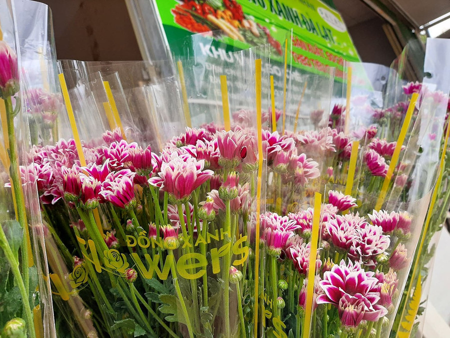 Hoa cúc Đà Lạt tăng giá trong 3 ngày qua - ẢNH: LÂM VIÊN Hoa cúc Đà Lạt tăng giá trong 3 ngày qua - ẢNH: LÂM VIÊN