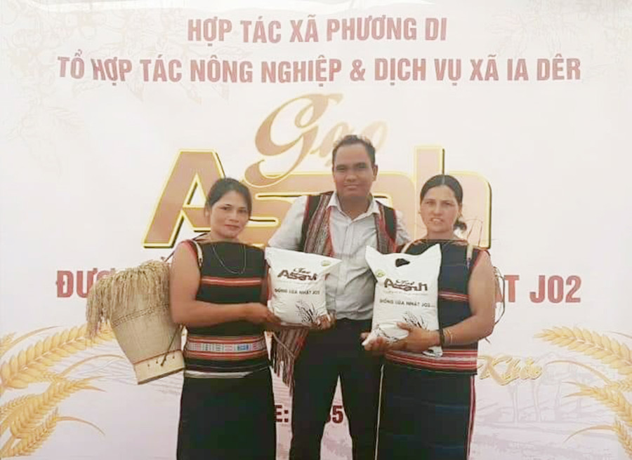 Huyện Ia Grai đang phấn đấu xây dựng thương hiệu gạo A Sanh thành sản phẩm OCOP. Ảnh: Vũ Thảo Huyện Ia Grai đang hướng đến xây dựng thương hiệu gạo A Sanh thành sản phẩm OCOP. Ảnh: Vũ Thảo