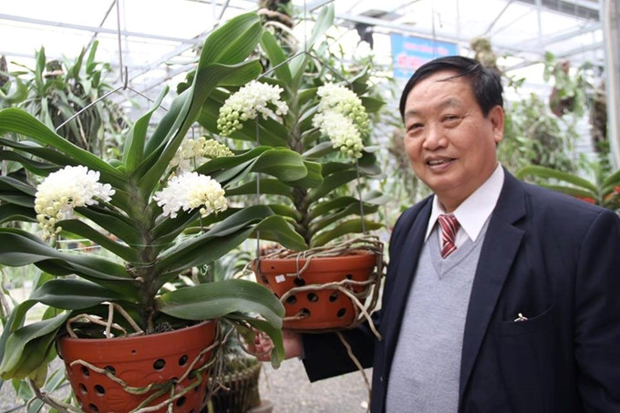 PGS.TS Trần Duy Quý - nguyên Viện trưởng Viện Di truyền nông nghiệp, Chủ tịch Hội hoa lan Hà Nội. (Ảnh: Tiến Đức)  PGS.TS Trần Duy Quý - nguyên Viện trưởng Viện Di truyền nông nghiệp, Chủ tịch Hội hoa lan Hà Nội. (Ảnh: Tiến Đức)