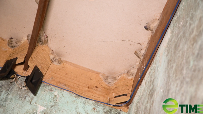 Cô gái xứ Quảng Lê Viết Bình Phương đã bắt chim yến nhả 