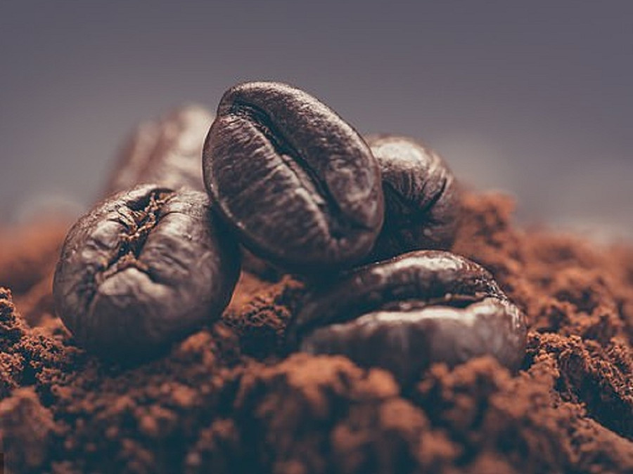 Bã cà phê thoa lên tóc và da đầu có thể giúp chống gàu, nuôi dưỡng tóc từ bên ngoài và tăng độ dày của tóc - Ảnh: Shutterstock