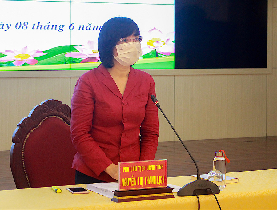 Phó Chủ tịch UBND tỉnh Nguyễn Thị Thanh Lịch phát biểu tại hội nghị. Ảnh: Hồng Thi