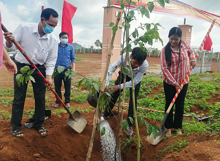 Cán bộ, công chức, viên chức và người dân huyện Mang Yang tham gia trồng cây. Ảnh: Hà Phương  Cán bộ, công chức, viên chức và người dân trên địa bàn huyện Mang Yang tham gia trồng cây. Ảnh: Hà Phương
