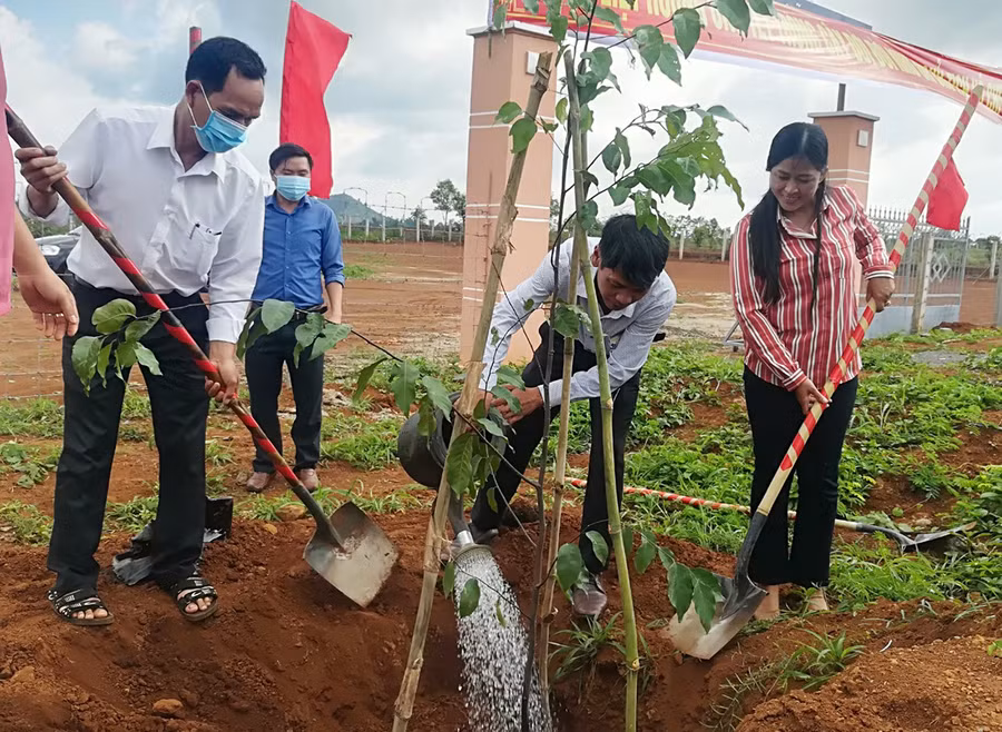  Cán bộ, công chức, viên chức và người dân trên địa bàn huyện Mang Yang tham gia trồng cây. Ảnh: Hà Phương