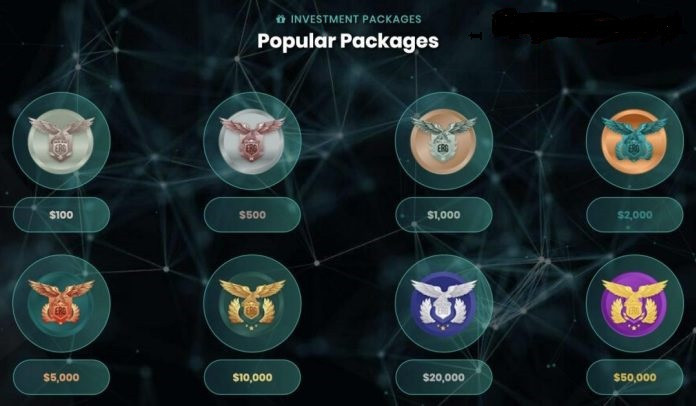 Mô hình Ponzi được nhận diện qua một số dấu hiệu như: kêu gọi đầu tư làm giàu nhanh, hứa hẹn trả lãi suất cao ngất, cam kết không có rủi ro hoặc rủi ro đầu tư rất thấp, hoàn vốn theo tỷ lệ cố định, khó rút vốn - ẢNH: BỘ CÔNG AN Mô hình Ponzi được nhận diện qua một số dấu hiệu như: kêu gọi đầu tư làm giàu nhanh, hứa hẹn trả lãi suất cao ngất, cam kết không có rủi ro hoặc rủi ro đầu tư rất thấp, hoàn vốn theo tỷ lệ cố định, khó rút vốn - ẢNH: BỘ CÔNG AN