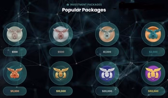 Mô hình Ponzi được nhận diện qua một số dấu hiệu như: kêu gọi đầu tư làm giàu nhanh, hứa hẹn trả lãi suất cao ngất, cam kết không có rủi ro hoặc rủi ro đầu tư rất thấp, hoàn vốn theo tỷ lệ cố định, khó rút vốn - ẢNH: BỘ CÔNG AN