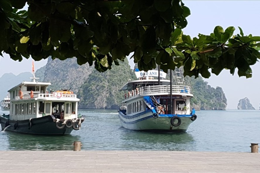 Vịnh Hạ Long. Ảnh: Nguyễn Hùng