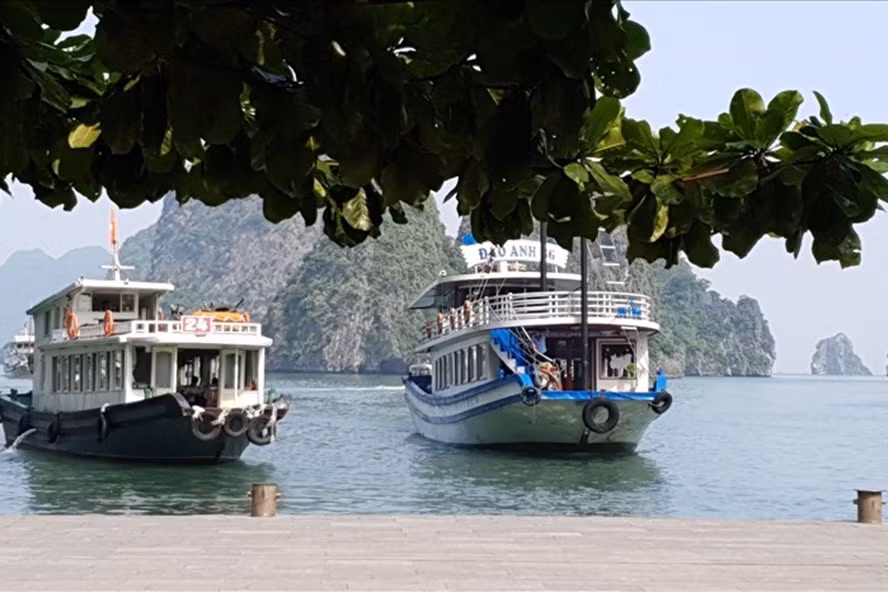 Vịnh Hạ Long. Ảnh: Nguyễn Hùng