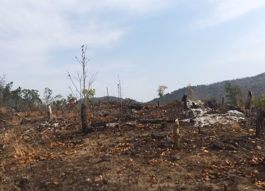  2 bị can đã phải chịu trách nhiệm khi để mất hơn 424 ha rừng. Ảnh: Văn Ngọc