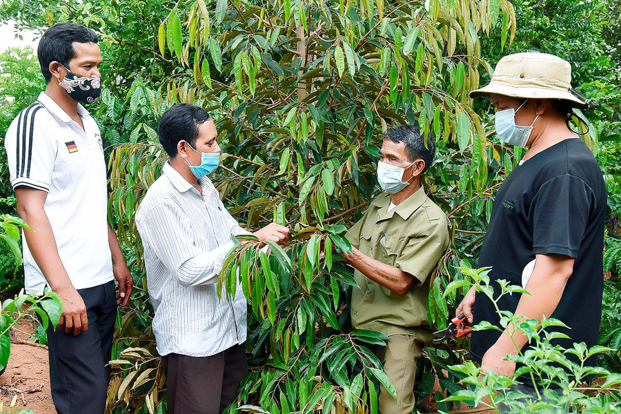 Hội viên nông dân xã Đak Tơ Ve tham quan mô hình trồng cà phê xen cây ăn trái của gia đình ông A Nông, Bí thư chi bộ làng Tuêk.