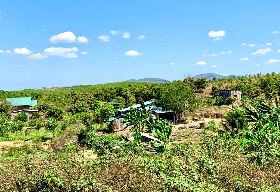 Khu vực bị thu hồi chuyển đổi mục đích sử dụng đất ở xã Ia Dom (huyện Đức Cơ) để thực hiện quy hoạch khu trung tâm Khu Kinh tế Cửa khẩu Quốc tế Lệ Thanh. Ảnh: Hà Duy